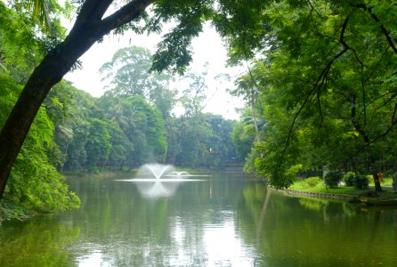 Pond - Hanoi Botanical Garden - Hanoi, Vietnam - DSC03540
