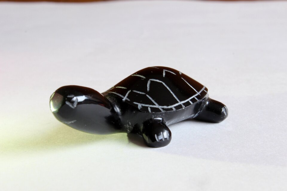Turtle crafts decoration