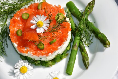 Salmon cream cheese dill photo