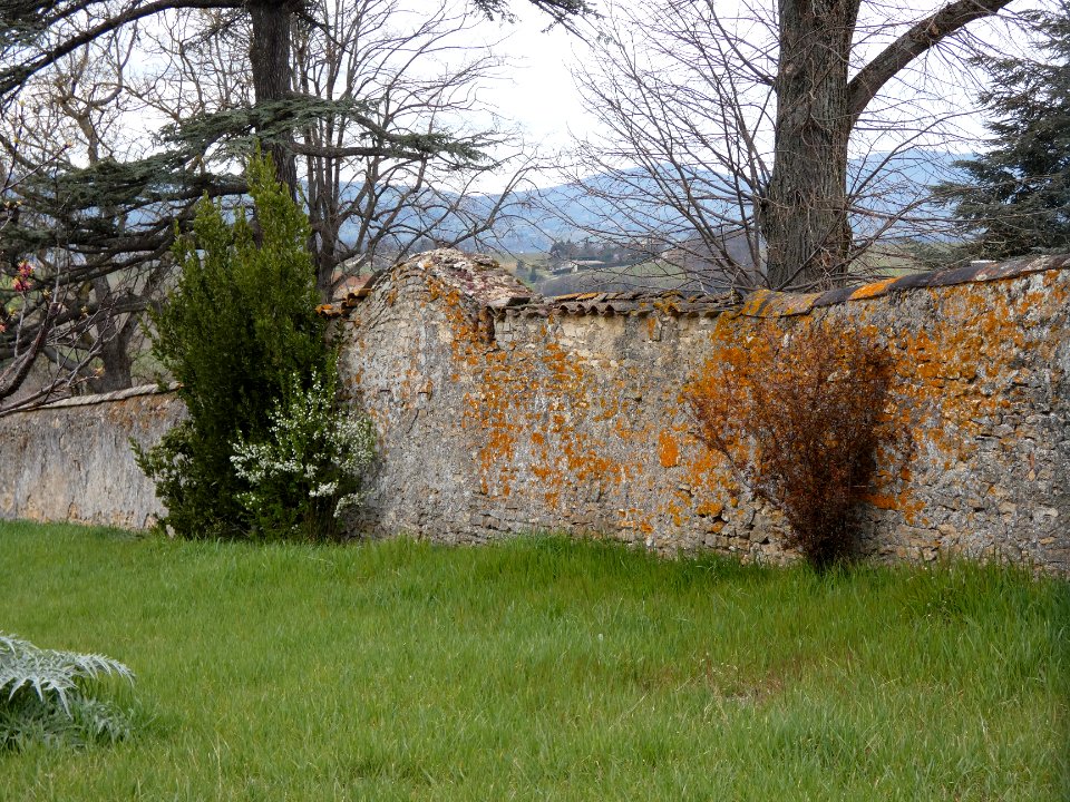 Pommiers - Chemin de Pommerieux - Mur en pierre