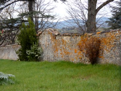 Pommiers - Chemin de Pommerieux - Mur en pierre
