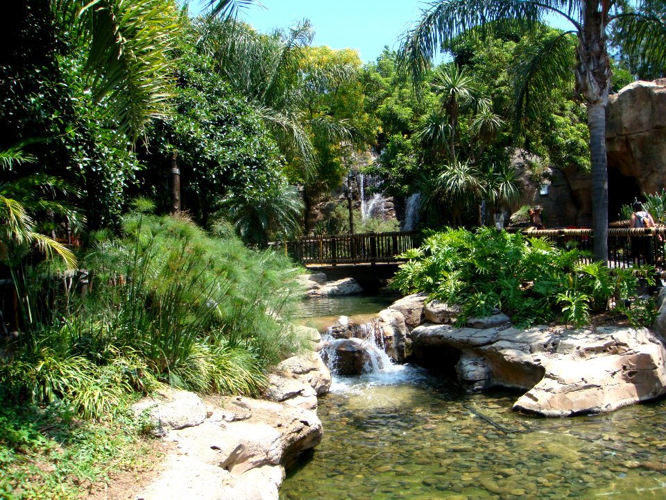 Polynesian view