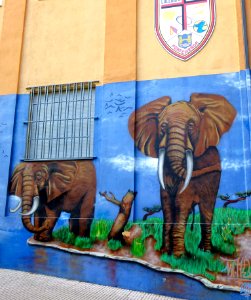 Ponferrada - graffiti & murals 26
