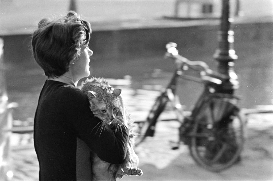 Poes te water in Reguliersgracht, de eigenaresse heeft ha poes weer, Bestanddeelnr 920-9318