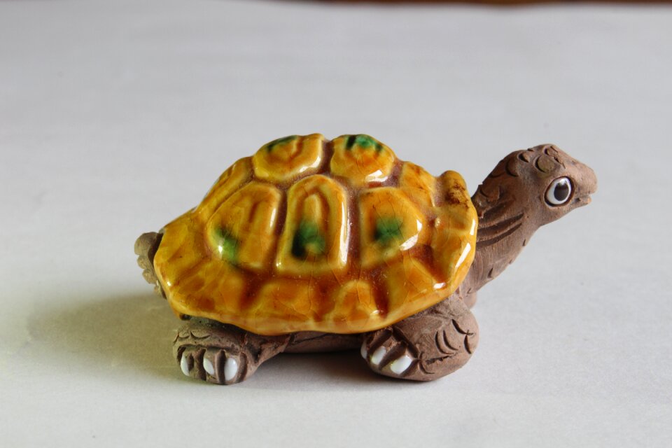 Turtle crafts decoration