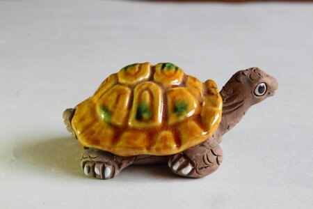 Turtle crafts decoration