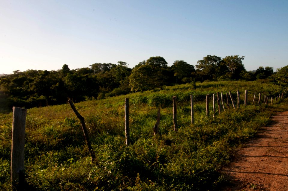 Plot Seed in Chaguaramal, Miranda State, Venezuela