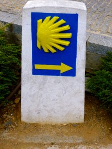 Ponferrada - Avenida del Castillo 5