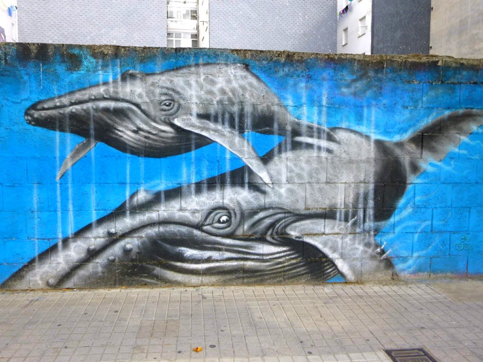 Ponferrada - graffiti & murals 04