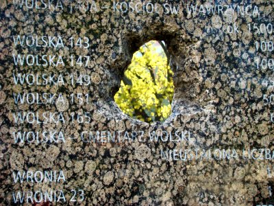 Pomnik ofiar Rzezi Woli 05