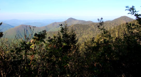Plott Balsams viewed from Waterrock Knob, May 2017