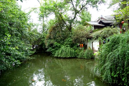 Pond, Jinli - Chengdu, China - DSC05401