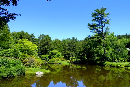Pond - Asticou Azalea Garden - Northeast Harbor, Maine - DSC03573