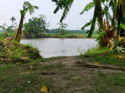Pond, A Rural Subject