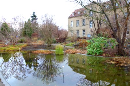 Pond - Botanischer Garten, Dresden, Germany - DSC08387