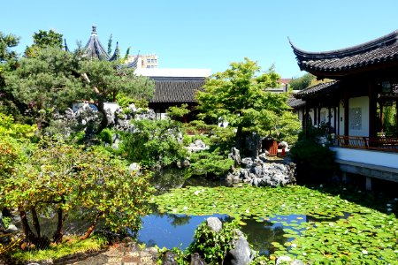 Pond - Dr. Sun Yat-Sen Classical Chinese Garden - Vancouver, Canada - DSC09811