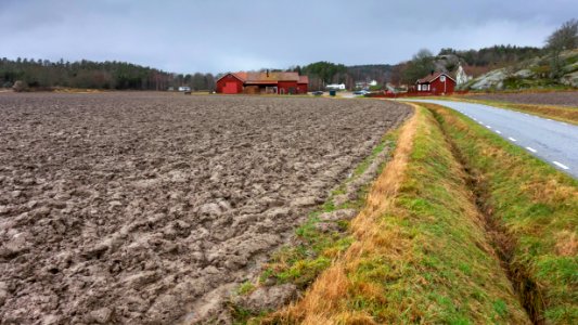 Plowed field at Röe gård