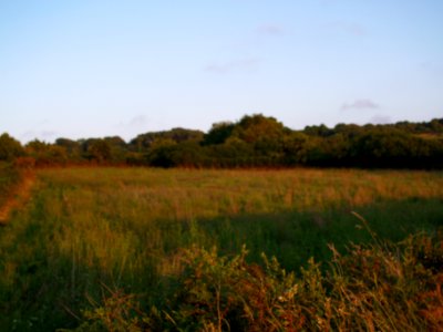 Plougrescant Rudloff 314
