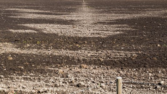 Plowed field drying after rain photo