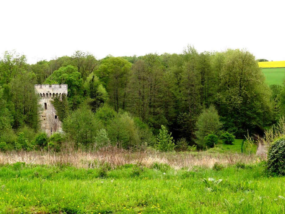 Ployart-et-Vaurseine (Aisne) Tour de Vaurseine 01