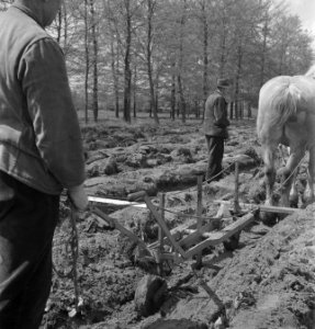Ploegen, paarden, Bestanddeelnr 169-0362
