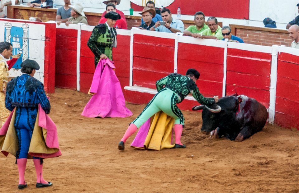 Plaza de Toros de Maracaibo 04