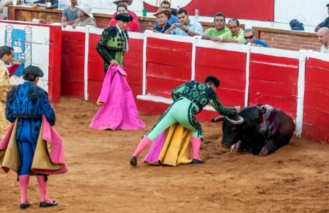Plaza de Toros de Maracaibo 04