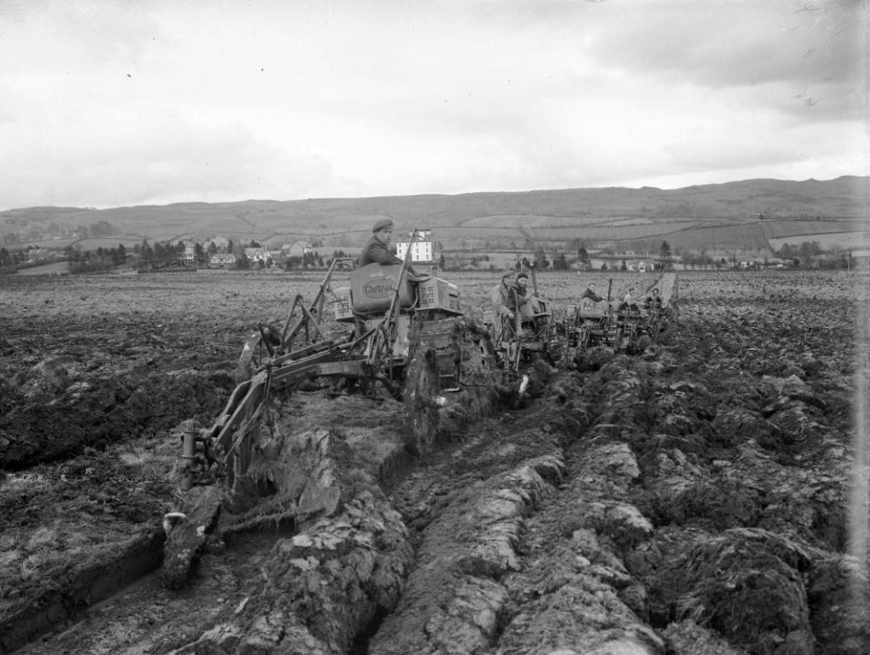 Ploughing with tractors (1295110)