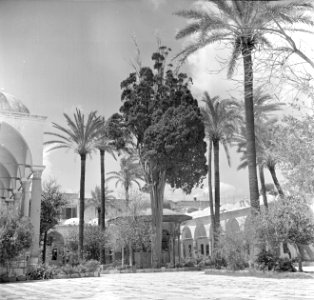 Plein bij de Jezhar Pasha moskee (l), Bestanddeelnr 255-0056