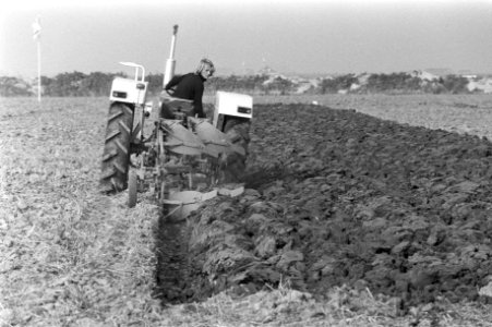 Ploeg-kampioenschappen in Flevopolder, aantal ploegen in aktie, Bestanddeelnr 925-9448