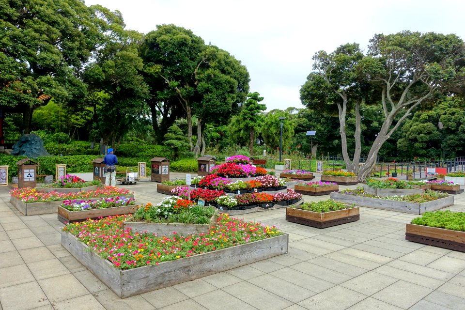 Plaza - Samuel Cocking Garden - Enoshima, Japan - DSC07719