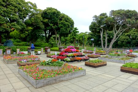 Plaza - Samuel Cocking Garden - Enoshima, Japan - DSC07719