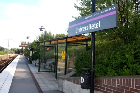 Plattform på Universitet - 1