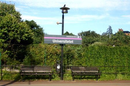 Plattform på Universitet - 2