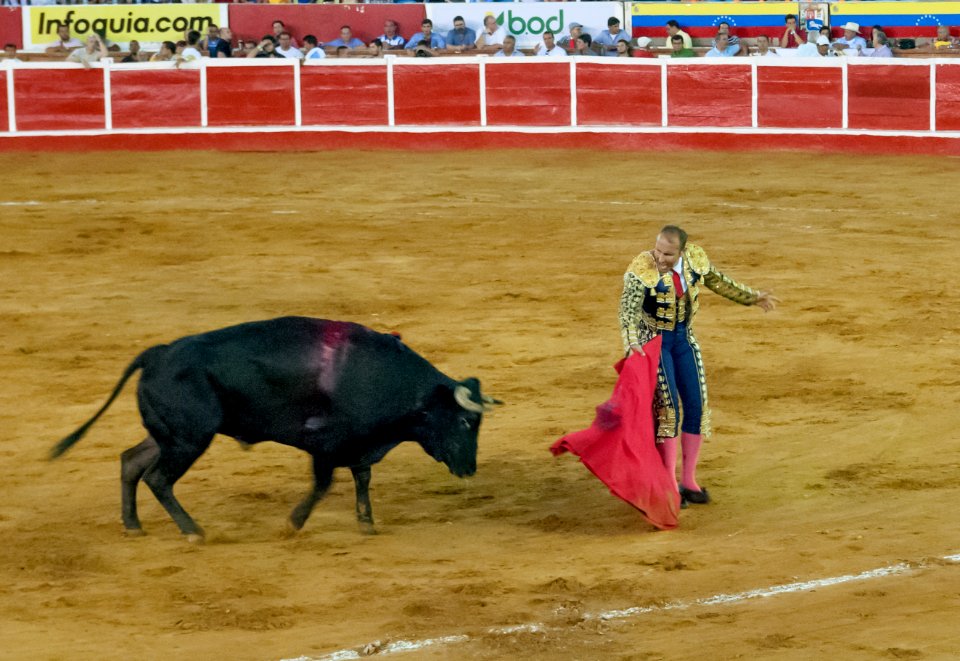 Plaza de Toros de Maracaibo 06