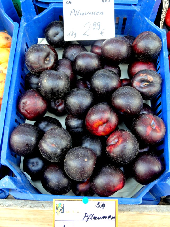 Plums in Freiburg - DSC06499