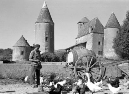 Pluimvee voeren, met op de achtergrond Chateau d'Arginy bij Charentay, Bestanddeelnr 191-0334