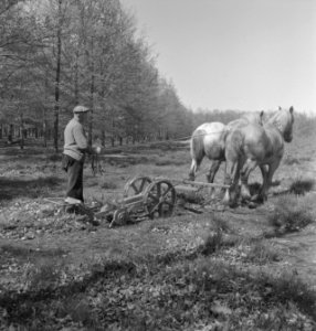 Ploegen, paarden, Bestanddeelnr 169-0358