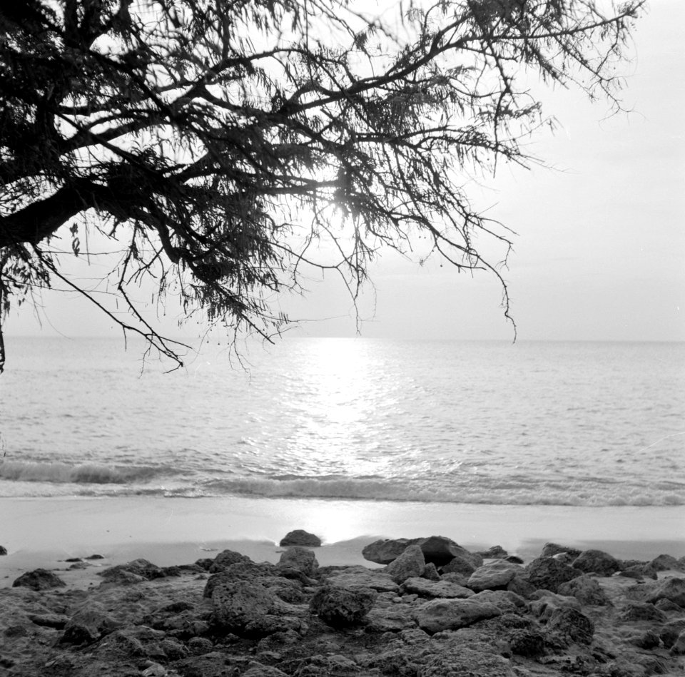 Playa Jeremi aan de Noordwestkust op Curaçao, Bestanddeelnr 252-3493