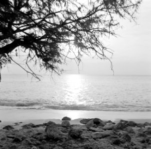 Playa Jeremi aan de Noordwestkust op Curaçao, Bestanddeelnr 252-3493