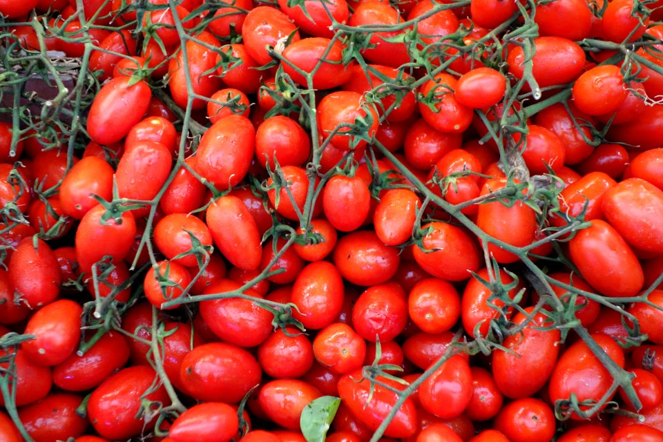 Plum tomatoes - Mercato Orientale - Genoa, Italy - DSC02474