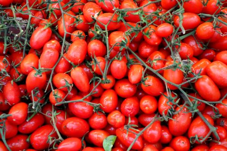 Plum tomatoes - Mercato Orientale - Genoa, Italy - DSC02474 photo