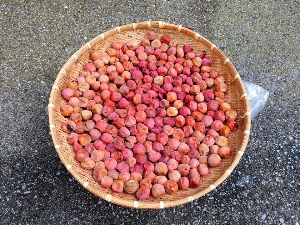Plums drying on the street in Motoazabu