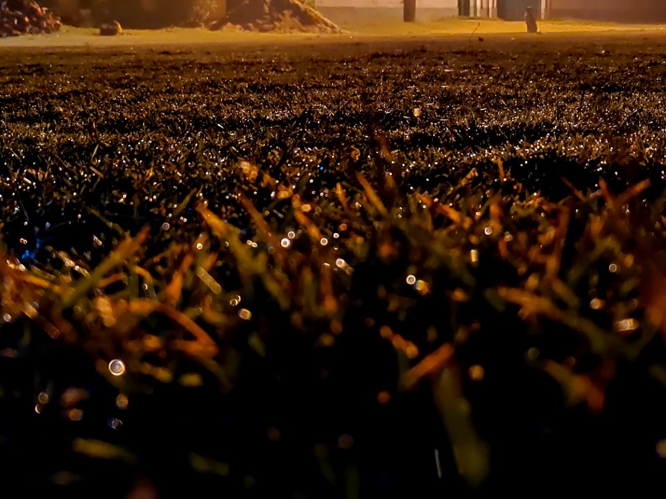Playground at Night