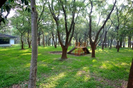 Playground - Tunghai University - DSC01752