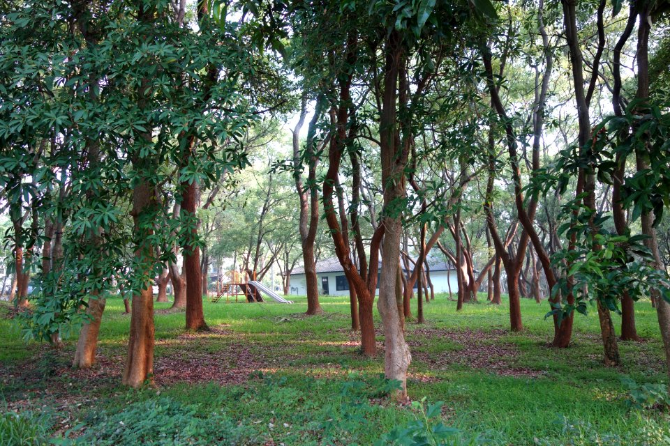 Playground - Tunghai University - DSC01731