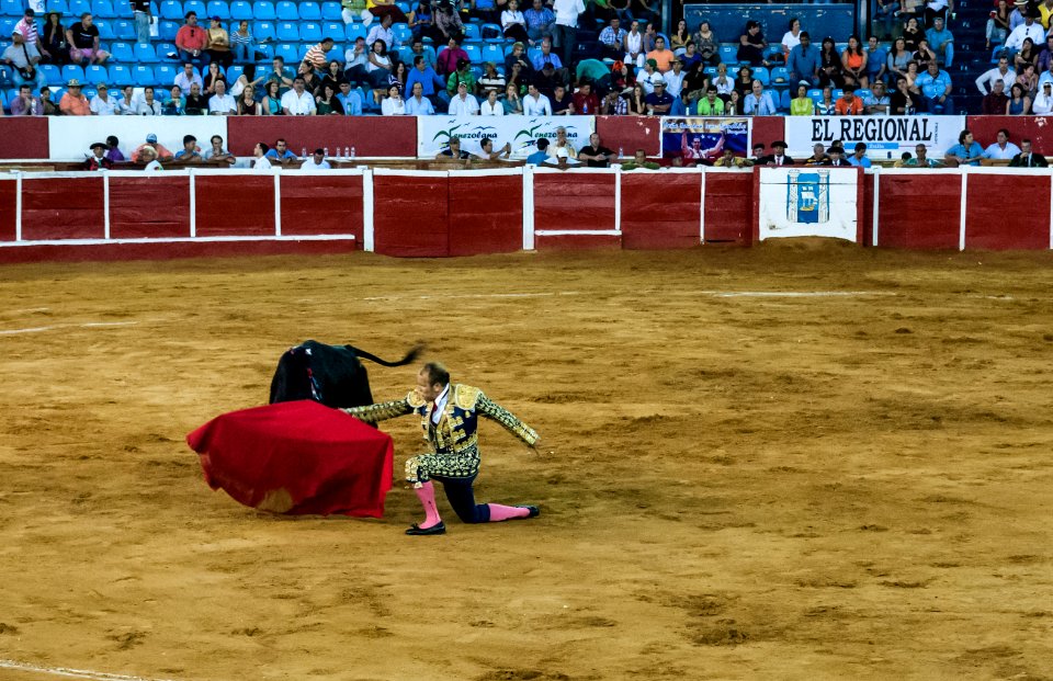 Plaza de Toros de Maracaibo 05