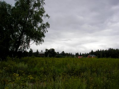 Polevshina 1