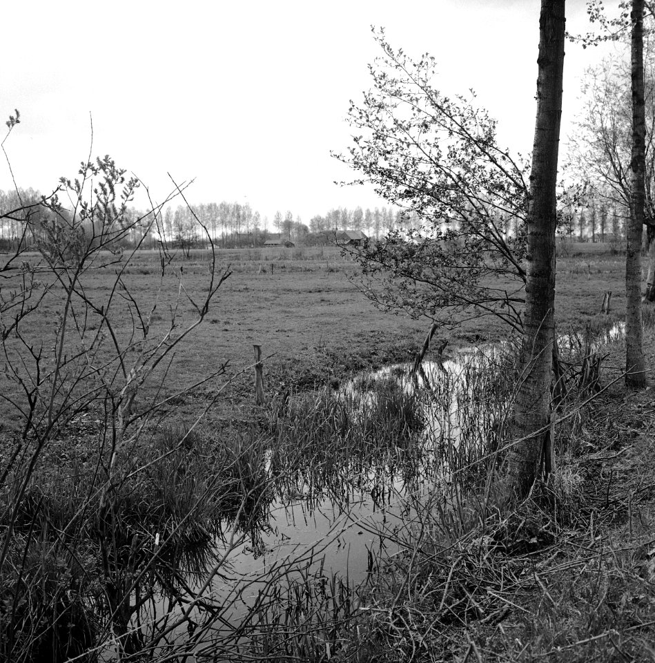 Polder van de heer van rooy weg esch - vught, Bestanddeelnr 162-0368