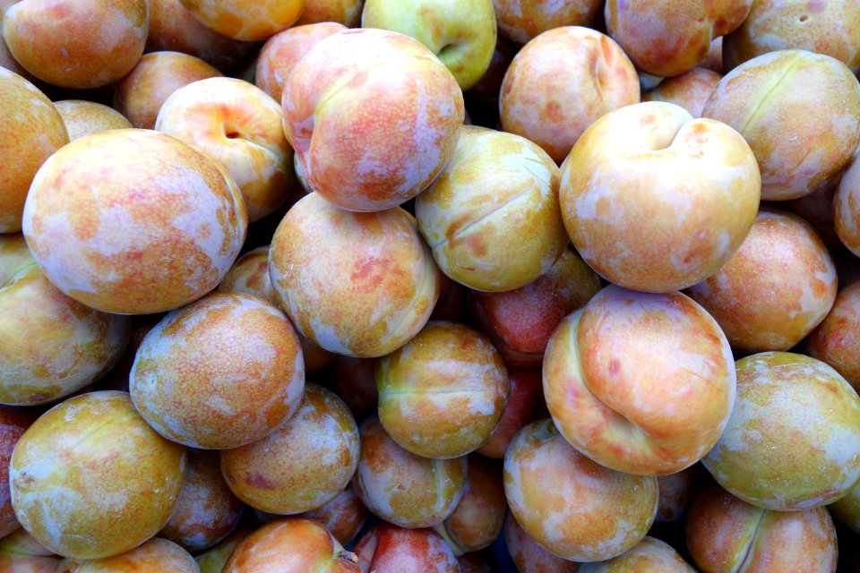 Pluots - Farmer's Market at the Ferry Building - San Francisco, CA - DSC03615